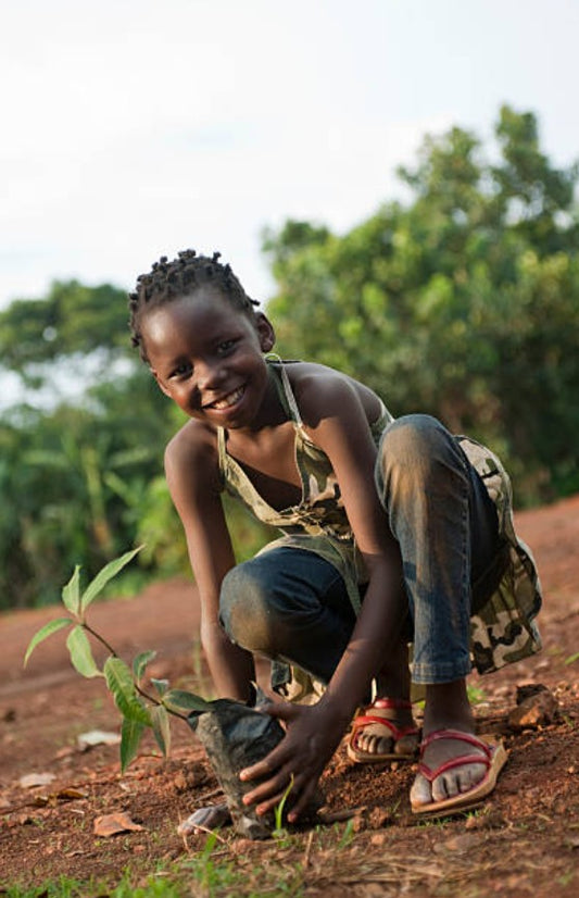 Plantera träd i din trädgård med EcoDrift för hållbar miljövård och effektiv plantering