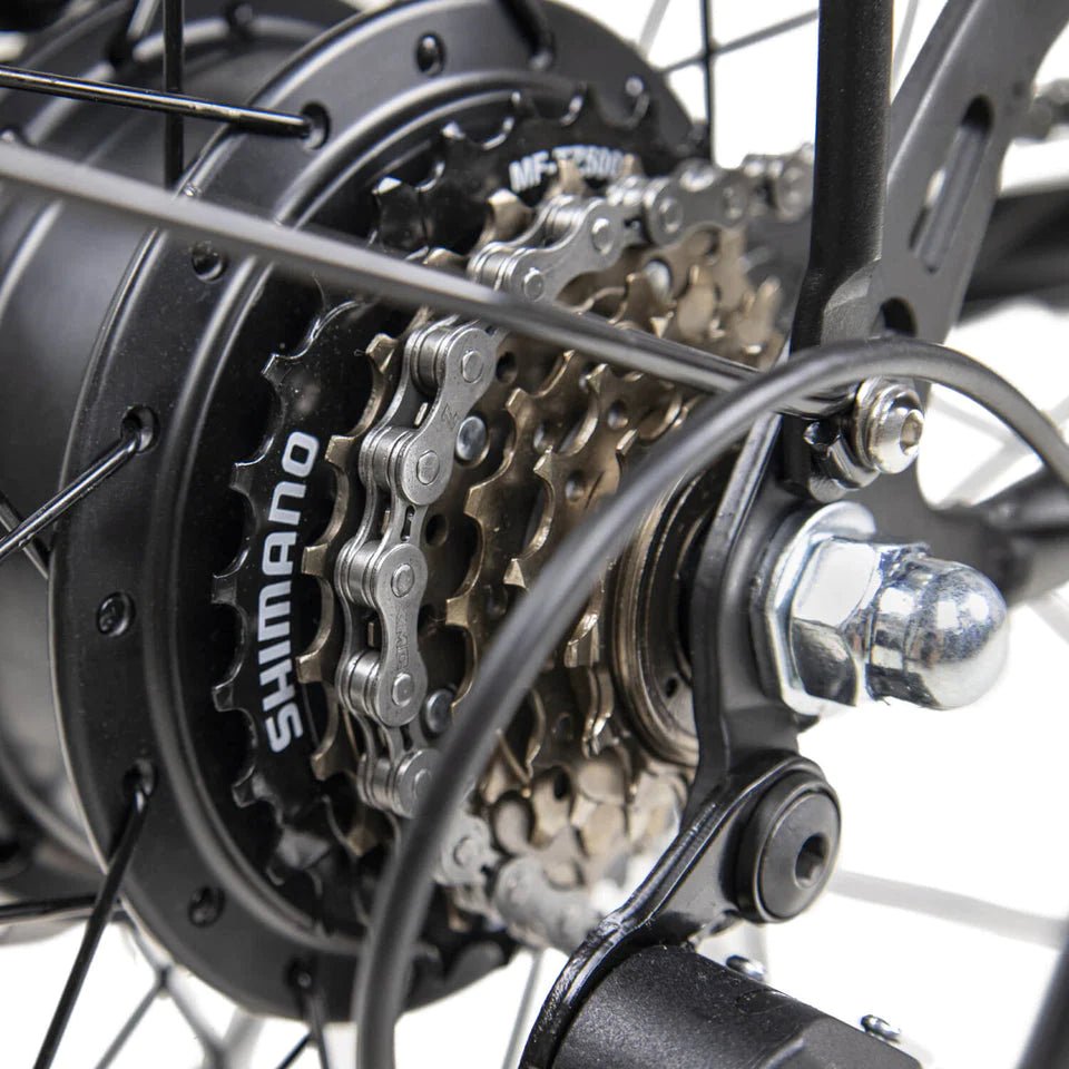 DYU C6 – Elcykel EcoDrift