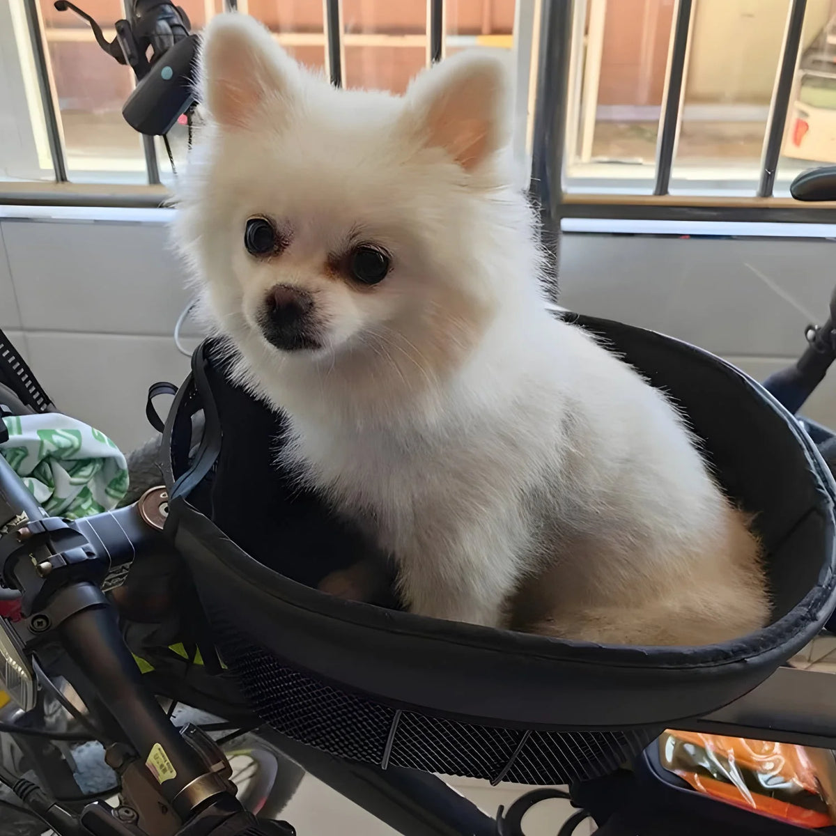 Smart hundkorg cykel