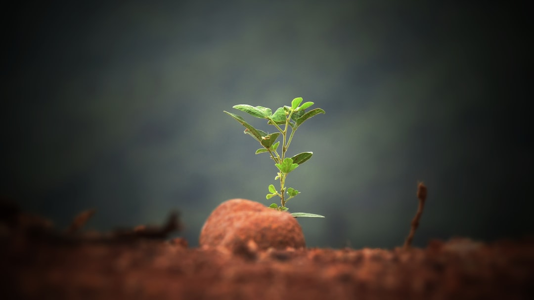 A small step with a big impact