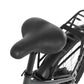 DYU C1 – Elcykel EcoDrift