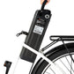 DYU C6 – Elcykel EcoDrift
