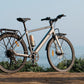 DYU Stroll 1 – Elcykel EcoDrift