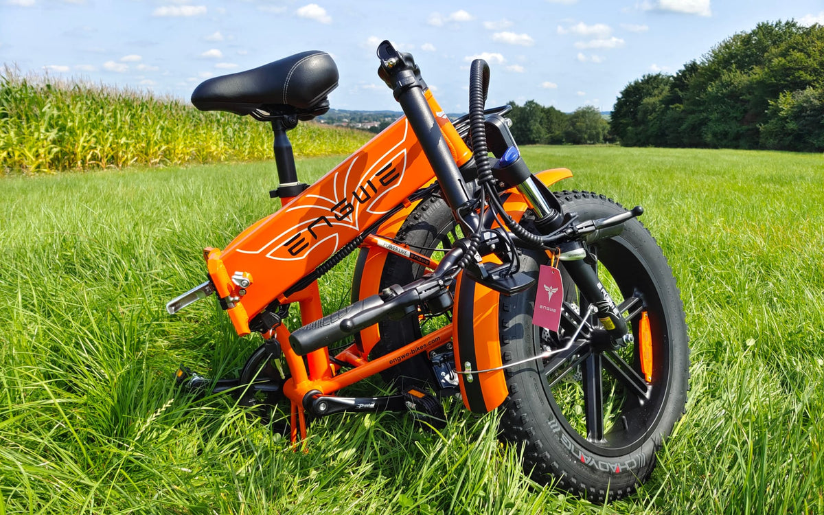 ENGWE EP-2 Pro – produktbild 18