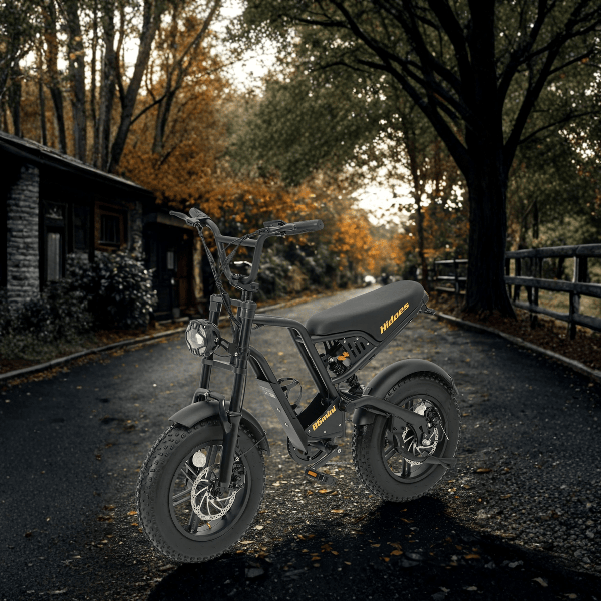 Hidoes B6 Mini – produktbild 28