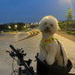 Smart hundkorg cykel