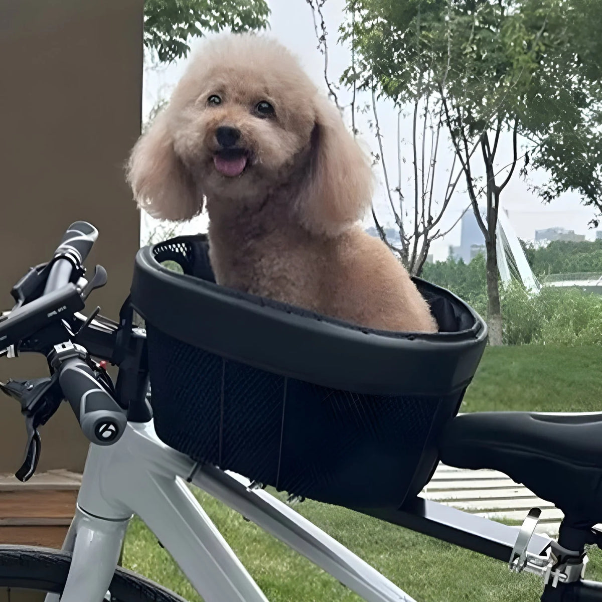 Smart hundkorg cykel