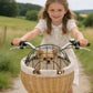 Cykelkorg husdjur - Classic Edition