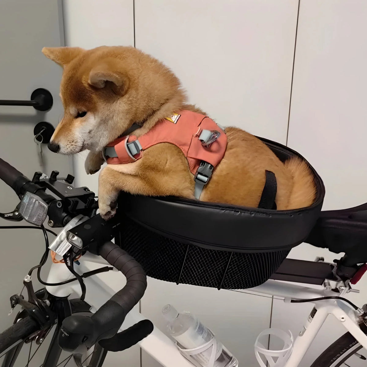 Smart hundkorg cykel
