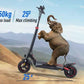 En elefant står på en EcoDrift T4 Elsparkcykel med en stark 600W motor och klättrar utan ansträngning uppför en brant backe. Texten lyder "150kg Max belastning" och "25° Max klättring" mot en suddig bakgrund. Märke: EcoDrift.