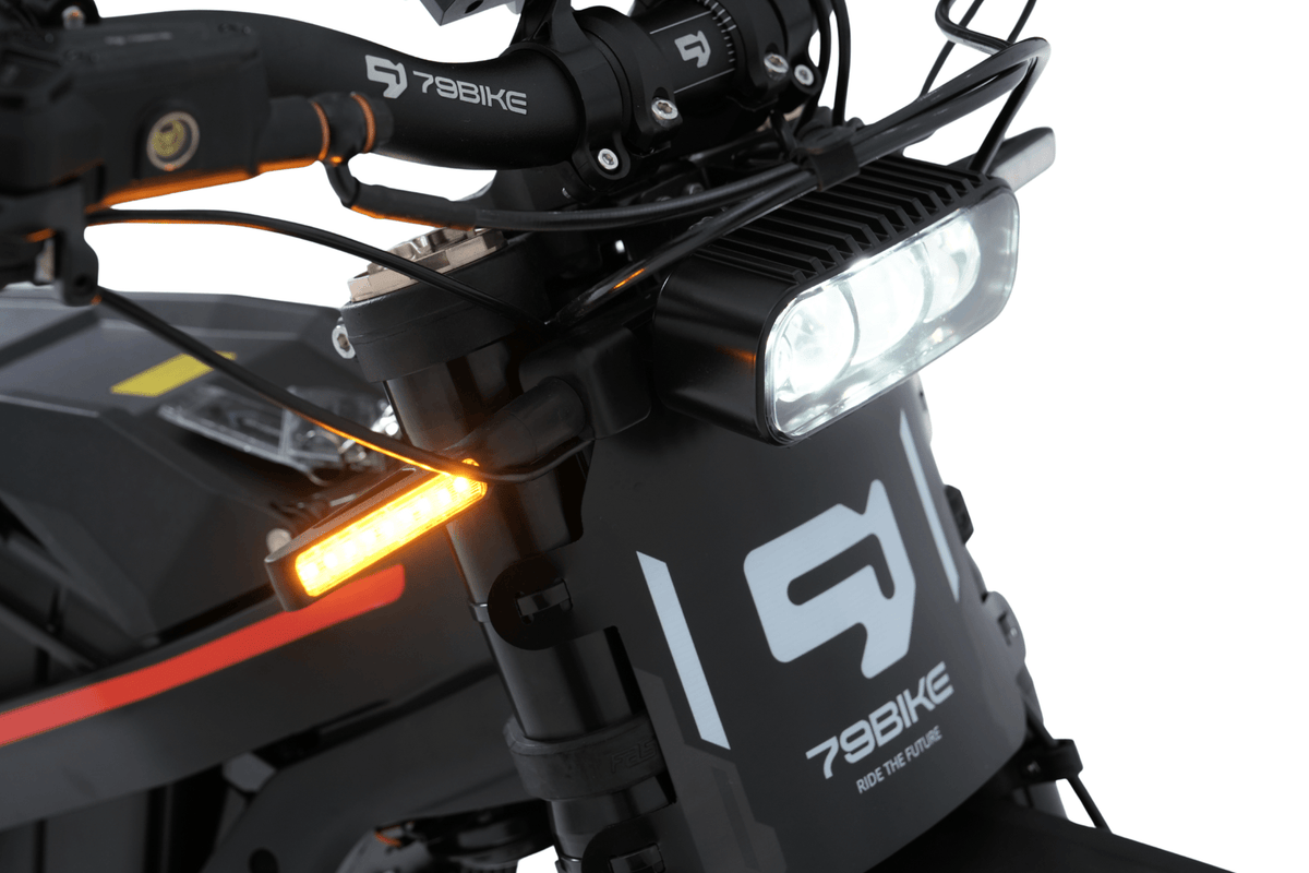 79BIKE Falcon Pro RL – produktbild 14